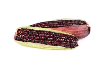 uncooked fresh purple corns on white background