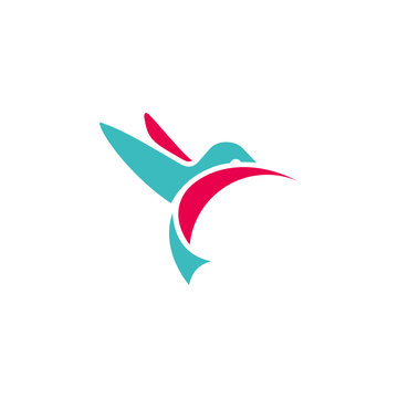 abstract colorful bird logo
