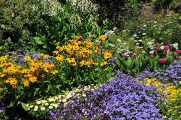 Colorful botanical summer garden filled with variety of flowers