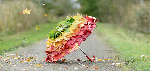 bunter Herbst - Regenschirm aus Laubblättern