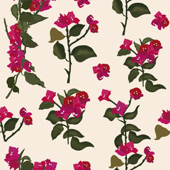 Vector seamless pattern with bougainvillea in a white background. - obrazy, fototapety, plakaty