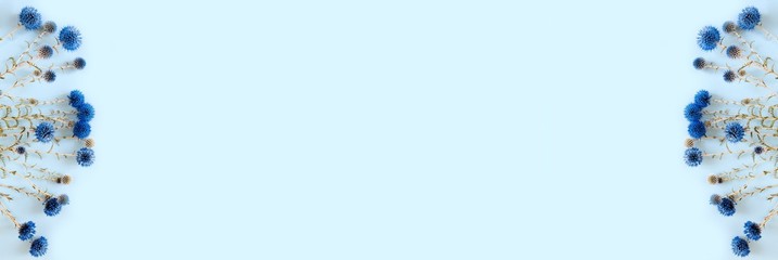 Beautiful eryngium flowers lying as a frame on pastel background.