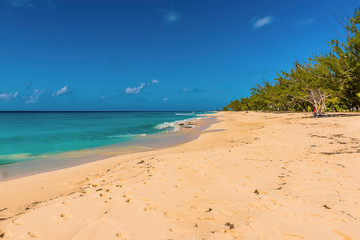 A view along Governors beach on Grand Turk