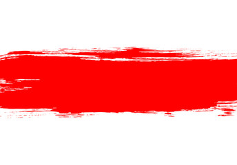 Belarus opposition flag during peaceful street protest against police violence and fabricated fake elections