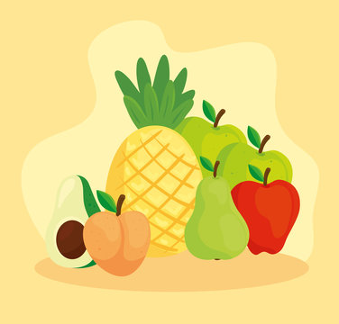 pineapple and tropical fresh fruits vector illustration design