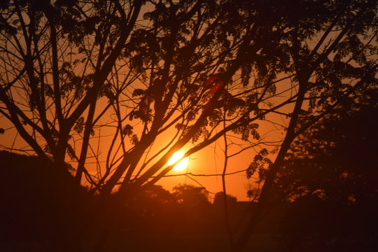 sunset in the forest, Colombia