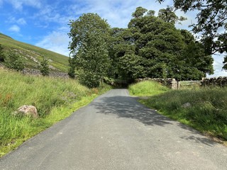 Fototapeta na wymiar The road leading into Malham, with large trees, on the brow of the hill in, Malham, Skipton, UK