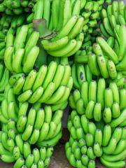 Abstract background with a stack of green bananas