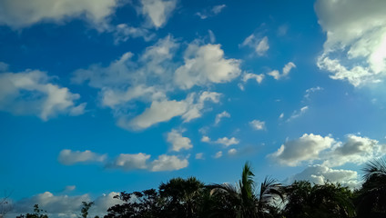 Fototapeta na wymiar A scenic beauty of blue sky.