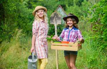 Summer at countryside. Gardens great place cultivate meaningful and fun learning experience for children. Kids girls with tools for gardening. Gardening basics. Gardening teaching life cycle process