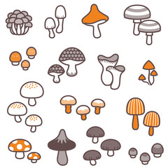 A variety of fancy mushrooms / 2 colors