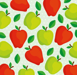 background of apples green and red vector illustration design