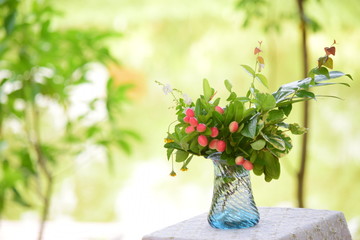 Bengal Currant from Thailand is high in vitamins.