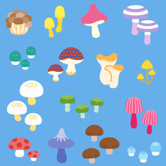 A variety of fancy mushrooms / No lines