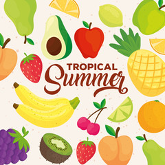 tropical summer banner, with fresh fruits vector illustration design