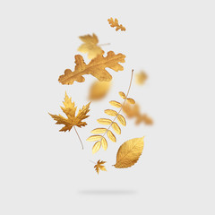 Golden flying autumn leaves of different shapes on light gray background. Autumn concept, fall...