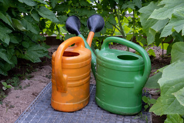 two watering cans in the greenhouse