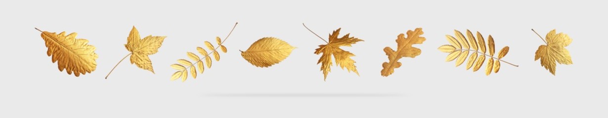 Golden flying autumn leaves of different shapes on light gray background. Autumn concept, fall...