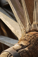 detail of a wooden wheel