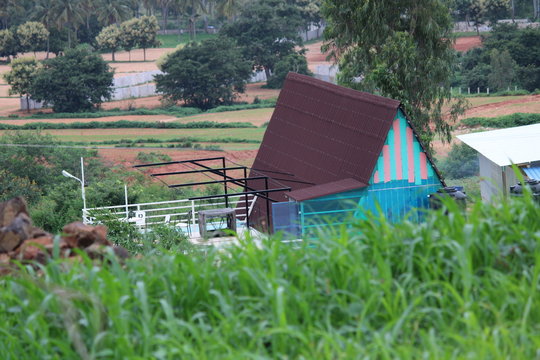house in the field