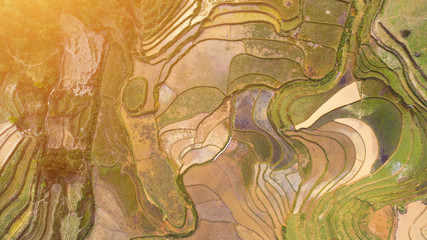 Fototapeta premium Aerial top view of paddy rice terraces, green agricultural fields in countryside or rice field terraces in Sapa, Lao Cai Province, North West Vietnam in Asia. Nature landscape background.