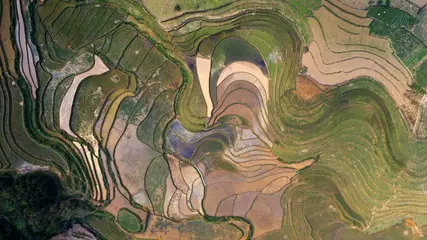 Fototapete Reisfelder Aerial top view of paddy rice terraces, green agricultural fields in countryside or rice field terraces in Sapa, Lao Cai Province, North West Vietnam in Asia. Nature landscape background.  © CravenA
