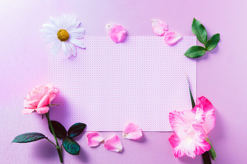 Naklejka na ściany i meble Empty white gift card next to colorful flowers, on top of pastel purple background.