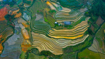 Aerial top view of paddy rice terraces, green agricultural fields in countryside or rice field terraces in Sapa, Lao Cai Province, North West Vietnam in Asia. Nature landscape background.