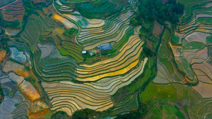 Aerial top view of paddy rice terraces, green agricultural fields in countryside or rice field terraces in Sapa, Lao Cai Province, North West Vietnam in Asia. Nature landscape background.