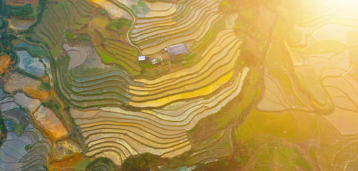 Aerial top view of paddy rice terraces, green agricultural fields in countryside or rice field terraces in Sapa, Lao Cai Province, North West Vietnam in Asia. Nature landscape background.