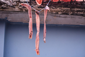 Drying Loitta Fish
