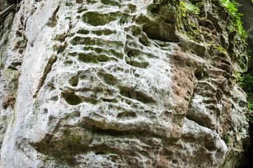 Rocks in the middle of the forest