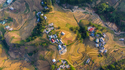 Aerial top view of paddy rice terraces, green agricultural fields in countryside or rice field terraces in Sapa, Lao Cai Province, North West Vietnam in Asia. Nature landscape background.