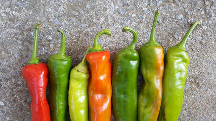 fresh harvested homegrown organic paprika on cement background