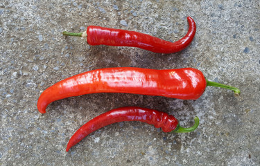 fresh harvested homegrown organic paprika on cement background