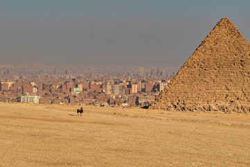 The Great pyramids of Egypt in Giza, Cairo, on sunset