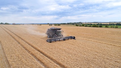 Harvest Photograph