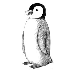 Penguin on a white background, illustration © Vladislav Vasiullin