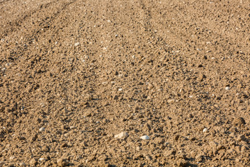 Freshly plowed field. spring preparation.