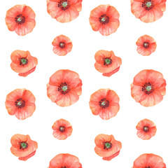 Watercolor flowers red poppy seamless pattern. Hand drawn floral seamless pattern on white.