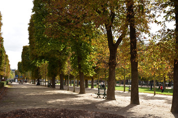 L'automne au jardin du Luxembourg à Paris, France