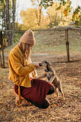 World Animal Day. Woman Volunteer meeting homeless dog puppies in fall nature background. Pet love,...