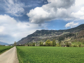 Fototapeta na wymiar Fürstentum Liechtenstein und seine Naturlandschaft