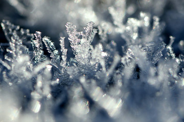 
background ice crystals closeup winter frost