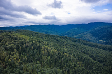 Skole Beskids National Nature Park. View from drone on forest, mountain