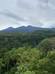 Jungle et montagne à Lombok, Indonésie