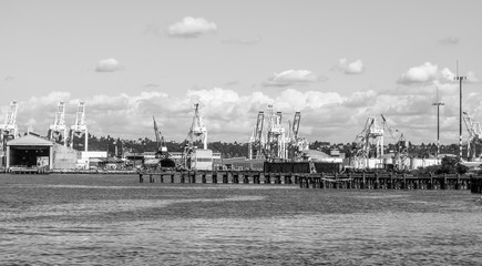 Port Docks Cranes 2