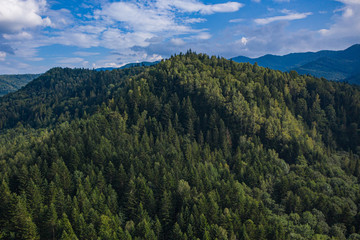 Skole Beskids National Nature Park. View from drone on forest, mountain