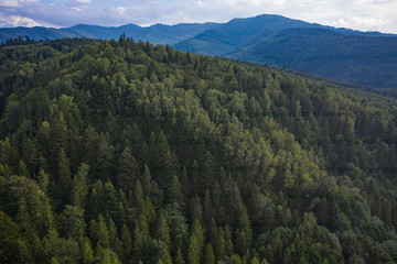 Skole Beskids National Nature Park. View from drone on forest, mountain