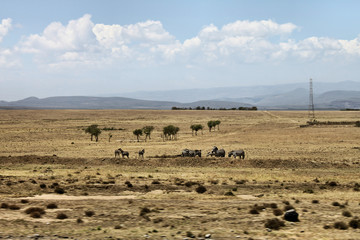 Fototapeta na wymiar A view of the Kenya Countryside on the way to Kimilili